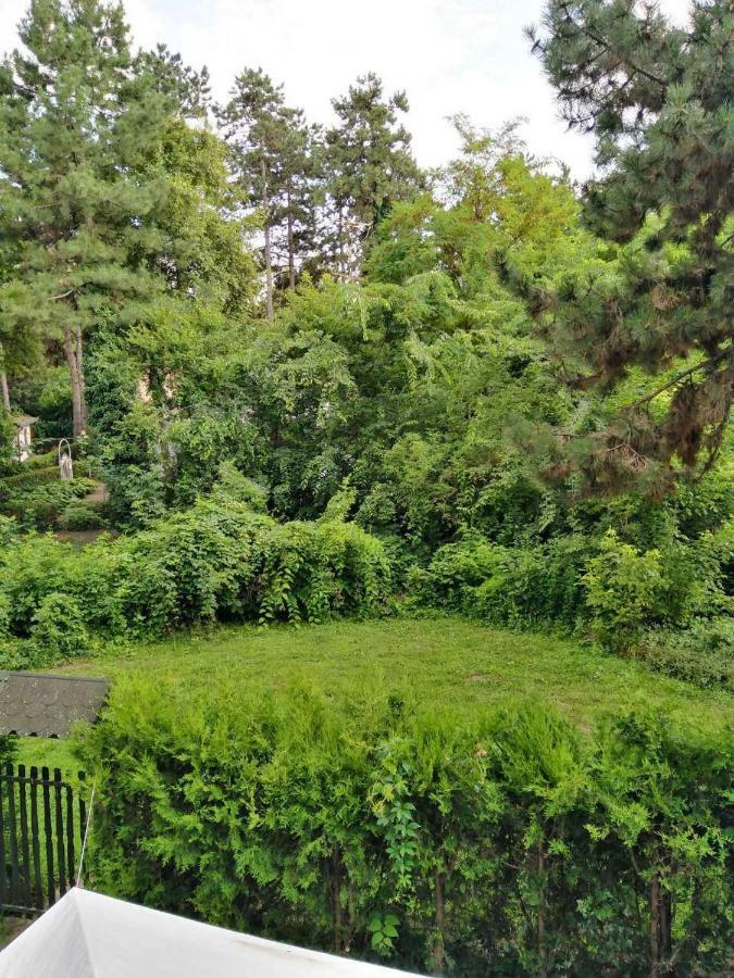 Vila Eden Palić Exteriér fotografie